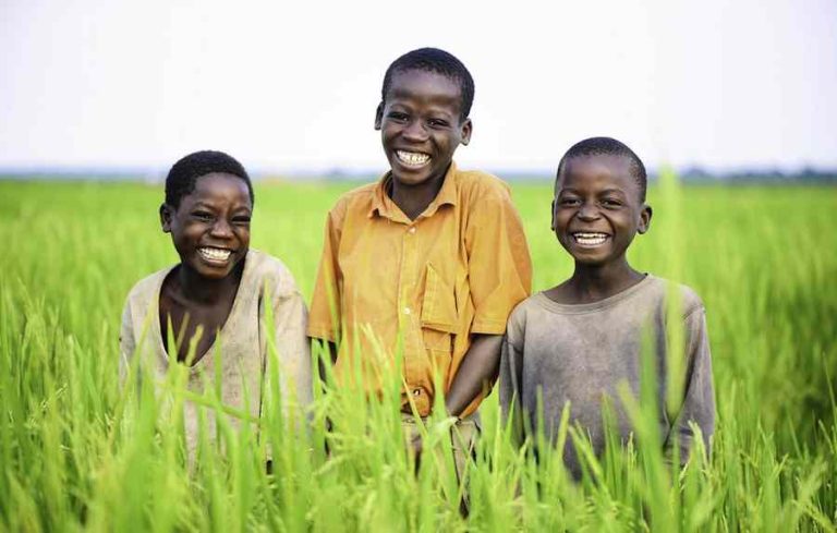 Children in Kangulumira abandon schools to scare birds in rice gardens